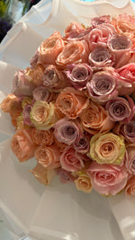 100 Rosa Tonos pastel