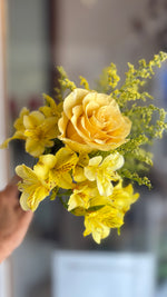 Mini yellow
