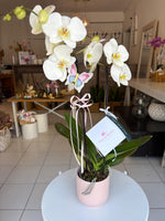 Orquídea en cerámica