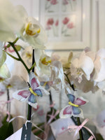 Orquídea en cerámica