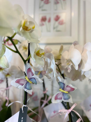 Orquídea en cerámica