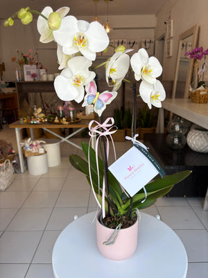 Orquídea en cerámica