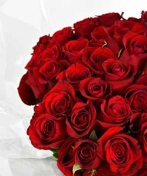 Bouquet 100 Rosas - Floreria Rossinna