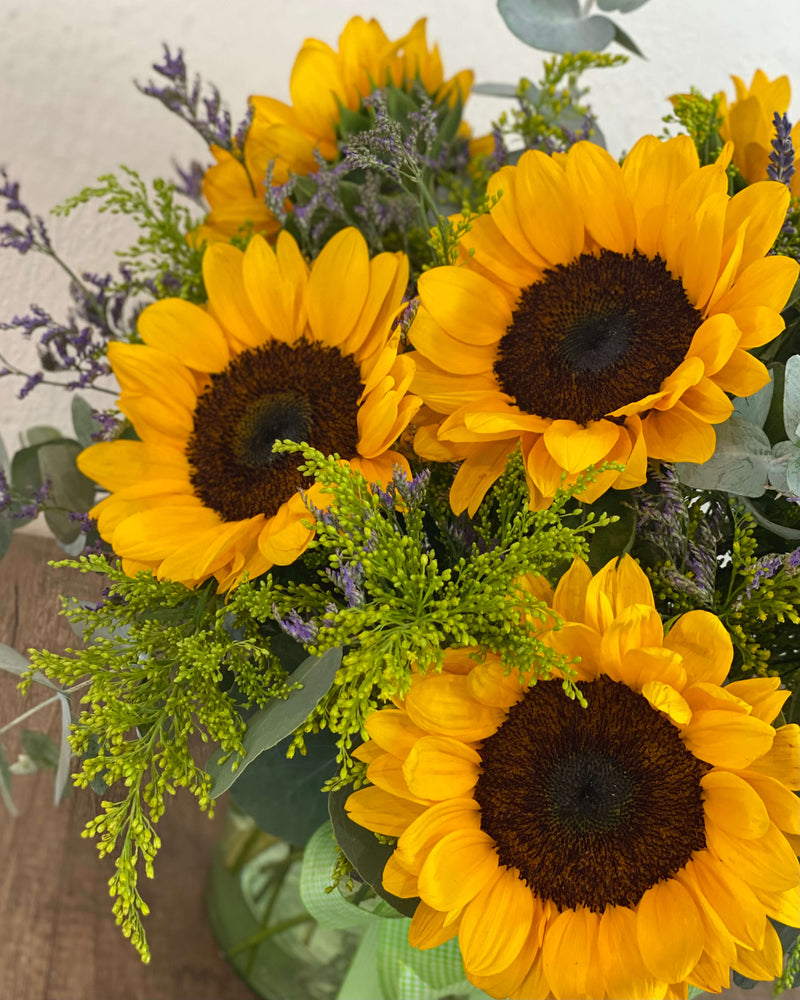 Girasoles de verano